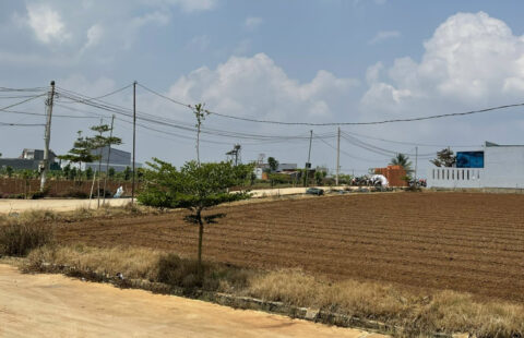 Bán Đất Liên Nghĩa Bên Sông 4 Lô Liền Kề DT 119m2 (5x24m) TC 100m