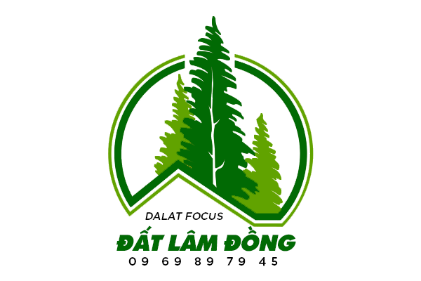 brand 001