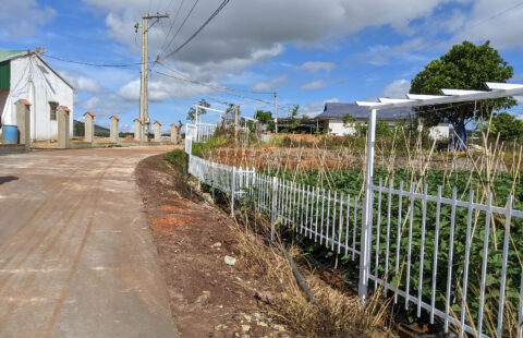 Bán Đất View Sông Đa Nhim 1000m2 (15x65m)