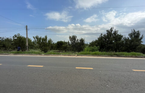 Bán Đất Tân Hà DT 2811m2 (35x88m) Quy Hoạch Thổ Cư