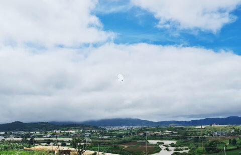 Bán Đất Đạ Ròn DT 120m2 (6x20m) Quy Hoạch Thổ Cư