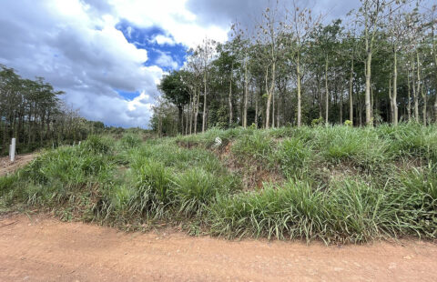 Bán Đất Đông Thanh DT 548m2 (10x62m) thổ cư 75m2