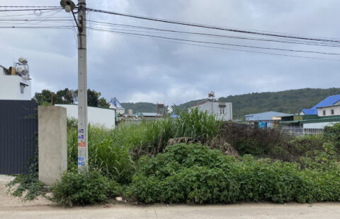 Bán Đất Hiệp Thạnh DT 311m2 (10x31m) Thổ Cư 200m2