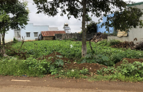 Bán Đất Hồ Xuân Hương DT 281,5m2 TC 100m2