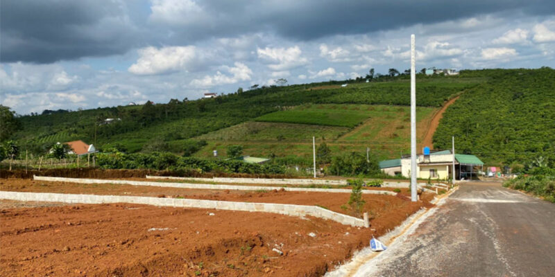 tai-tro-quy-hoach-tai-lam-dong-datvendalat.vn 03052022001