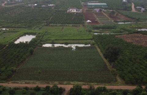 Bán đất 600 triệu/sào tại Hoài Đức, Lâm Hà, Lâm Đồng