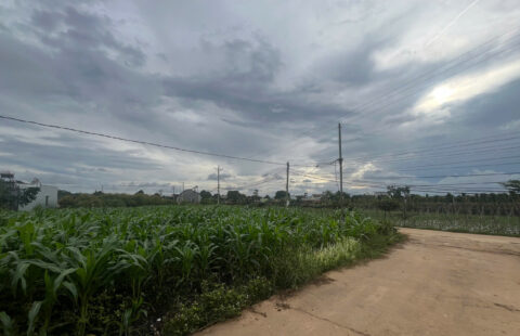 BÁN ĐẤT – 2 LÔ GẦN QUỐC LỘ DT724 – PHÚ HỘI, ĐỨC TRỌNG