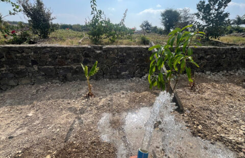 BÁN NHÀ TẶNG VƯỜN CÂY – MẶT TIỀN KINH DOANH, THUẬN LỢI DI CHUYỂN