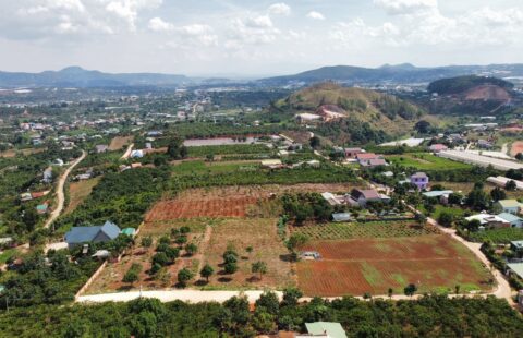 Bán Đất Thị Trấn Nam Ban – Lâm Hà, View Thoáng, Giá Chỉ 749 Triệu