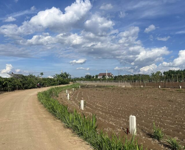Bán Đất Ven Đà Lạt – Xã Tân Hội, Đức Trọng – Giá Chỉ 520 Triệu