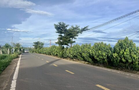 BÁN ĐẤT 2 MẶT TIỀN DIỆN TÍCH 5584M² CÓ 700M² THỔ CƯ