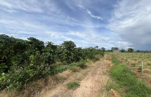 BÁN LÔ ĐẤT 3 MẶT TIỀN TẠI TÂN VĂN – GIÁP TÂN HỘI – VIEW HỒ