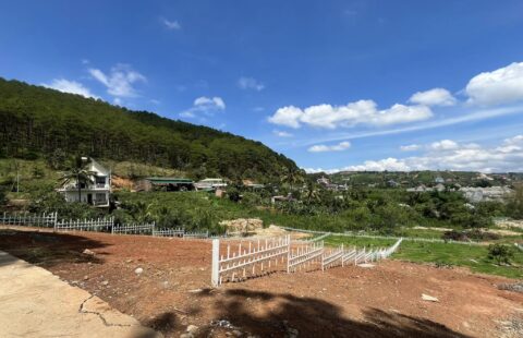 BÁN ĐẤT GIÁP ĐỒI THÔNG VIEW THOÁNG MÁT GẦN TRUNG TÂM TT NAM BAN