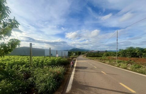 BÁN ĐẤT MẶT TIỀN NHỰA DH2 226M² CÓ 79M² THỔ CƯ GẦN THÁC VINH SƠN