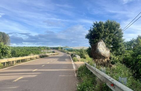 BÁN ĐẤT MẶT TIỀN NHỰA DH2 GIÁ TỐT ĐỂ Ở ĐẦU TƯ DÀI HẠN