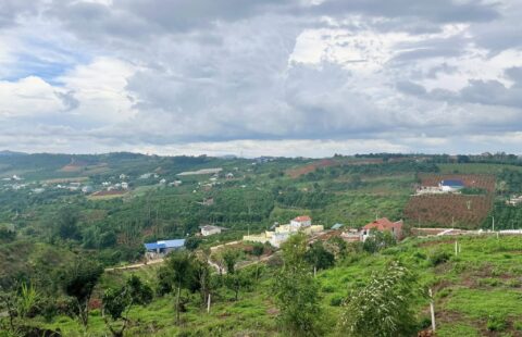 BÁN LÔ ĐẤT GIÁP ĐỒI THÔNG – VEN TRUNG TÂM THỊ TRẤN NAM BAN – LÂM HÀ