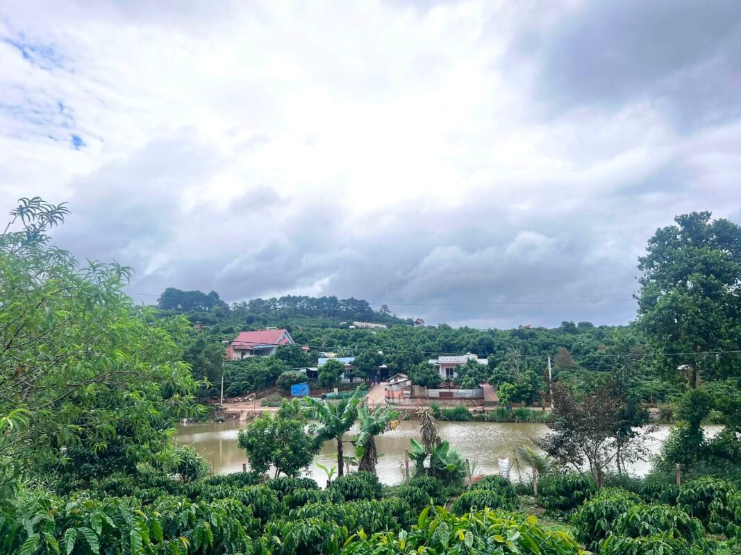 Đất Ven Đà Lạt Official