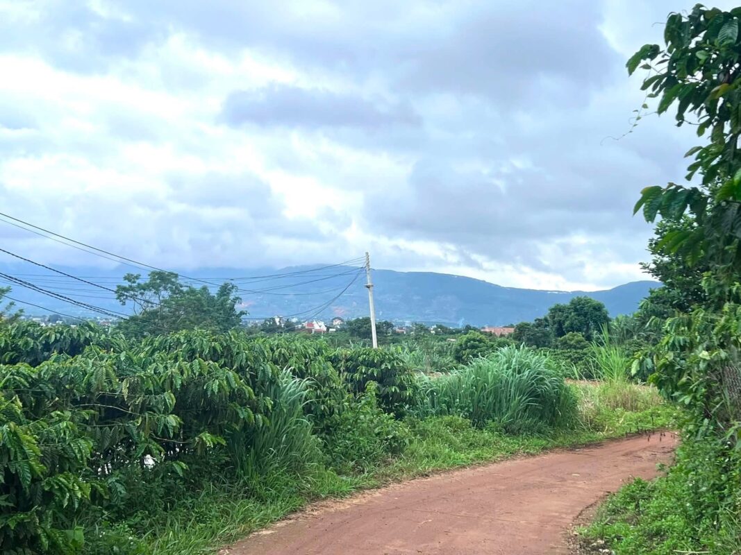 Đất Ven Đà Lạt Official