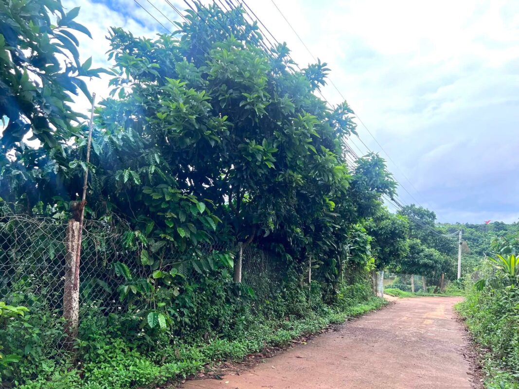Đất Ven Đà Lạt Official