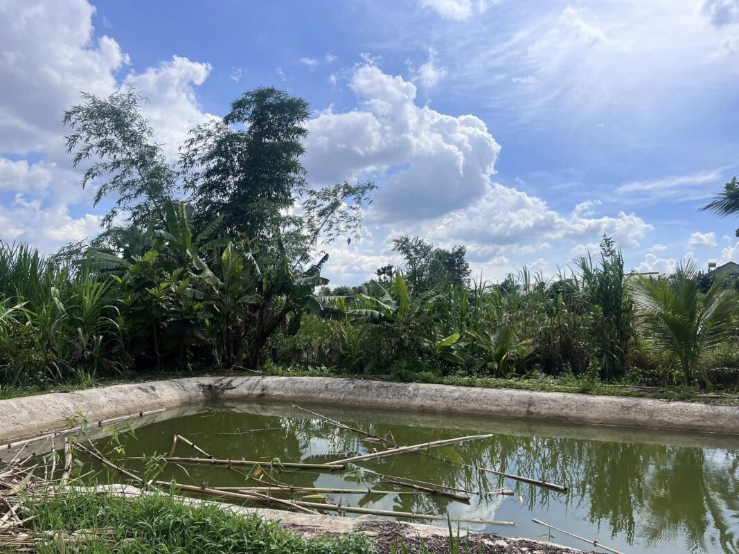 Đất Ven Đà Lạt Official