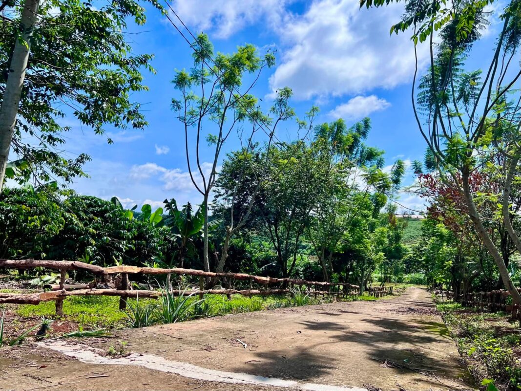 Đất Ven Đà Lạt Official