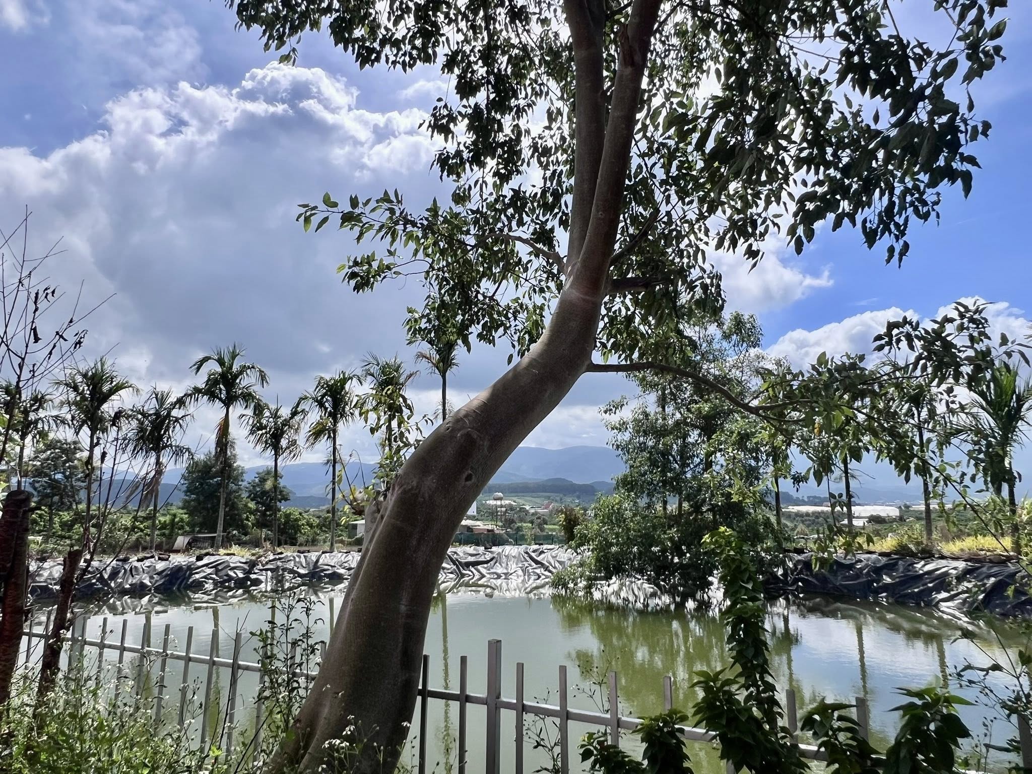 ĐẤT DIỆN TÍCH LỚN – TẶNG NHÀ VIEW NAM BAN TẠI VEN ĐÀ LẠT (2)