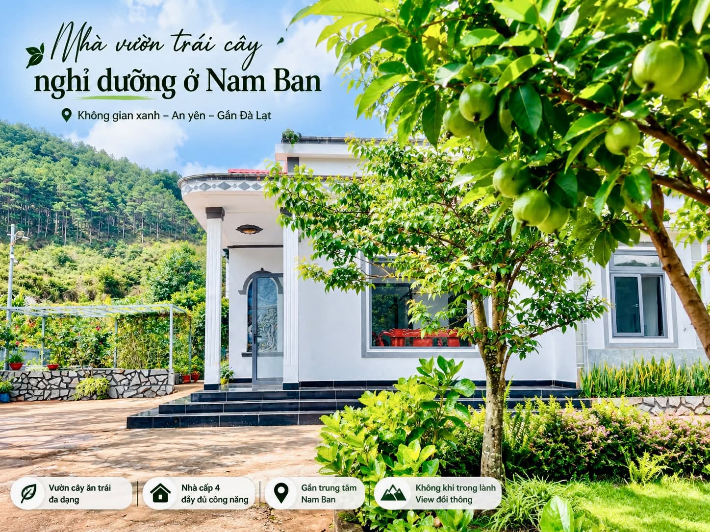 ĐẤT RỘNG, NHÀ SẴN, VƯỜN XANH VÀ ĐỒI THÔNG PHÍA SAU – MỘT KHÔNG GIAN ĐỦ RỘNG ĐỂ SỐNG THEO CÁCH RIÊNG (1)