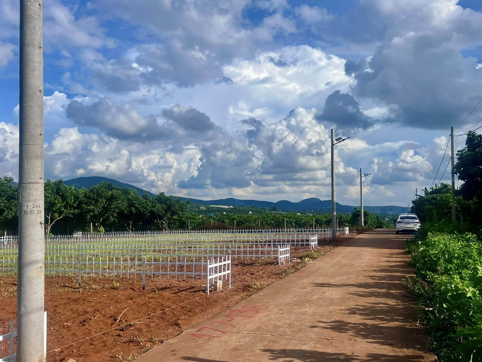 ĐẤT THỔ CƯ GẦN CHỢ THĂNG LONG – HẠ TẦNG HOÀN THIỆN – PHÙ HỢP XÂY NHÀ Ở LÂU DÀI (1)