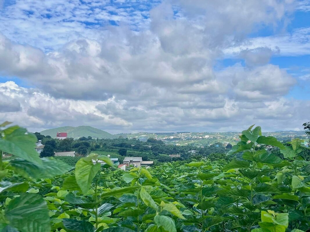 Đất Ven Đà Lạt Official