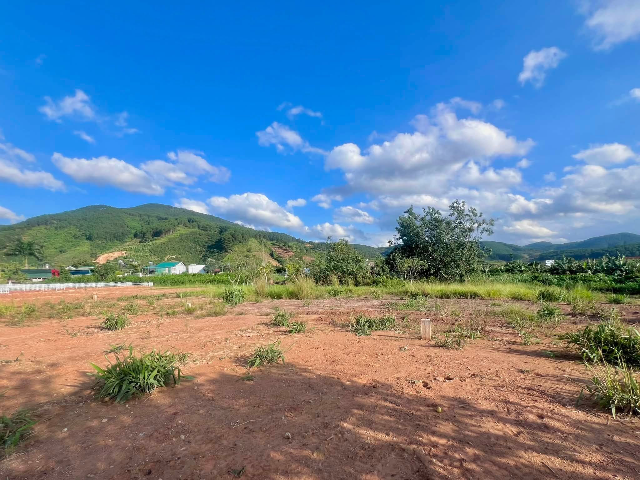ĐẤT VEN ĐÀ LẠT 413M² – BÌNH YÊN, MÁT MẺ, THẾ ĐẤT BẰNG PHẲNG DỄ XÂY NHÀ (2)