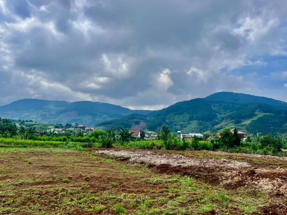 Đất Ven Đà Lạt Official