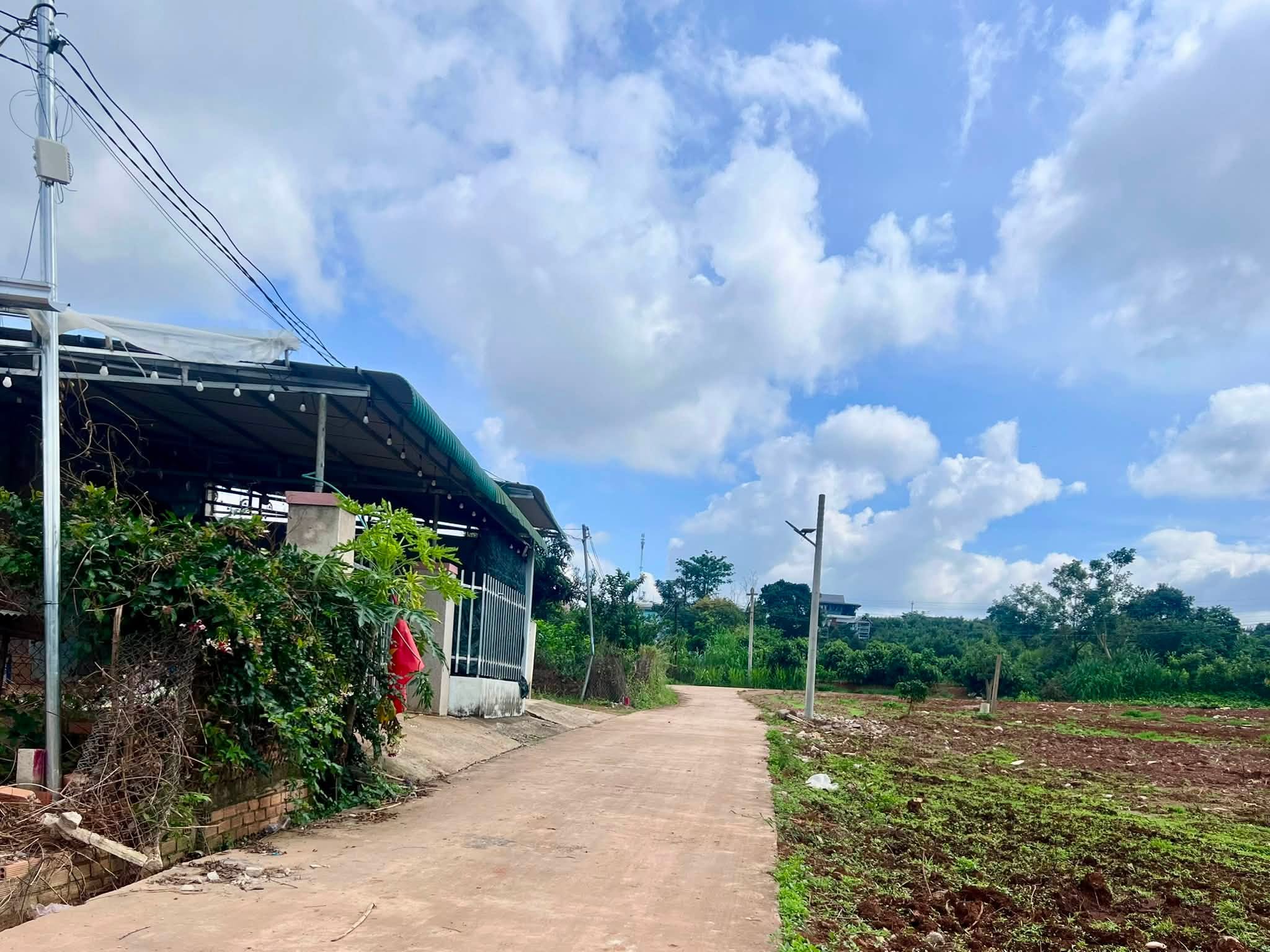 ĐẤT VEN ĐÀ LẠT 466M² – THẾ ĐẤT CAO RÁO, VIEW THOÁNG, GIÁ CHỈ 890 TRIỆU (2)