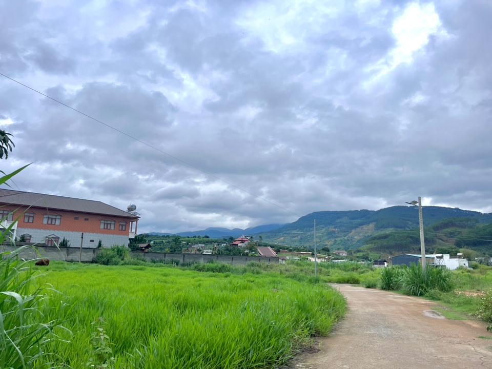ĐẤT VEN ĐÀ LẠT NỞ HẬU – KHÔNG GIAN YÊN TĨNH PHÙ HỢP LÀM NHÀ VƯỜN NGHỈ DƯỠNG (2)