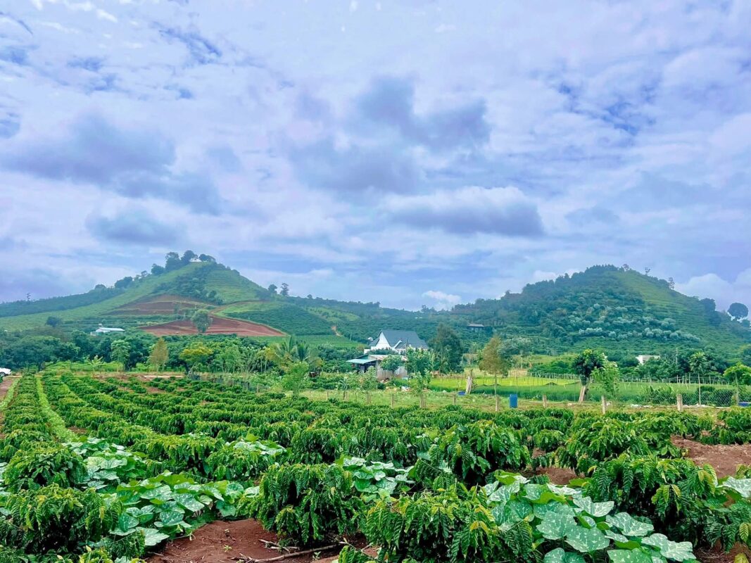 Đất Ven Đà Lạt Official