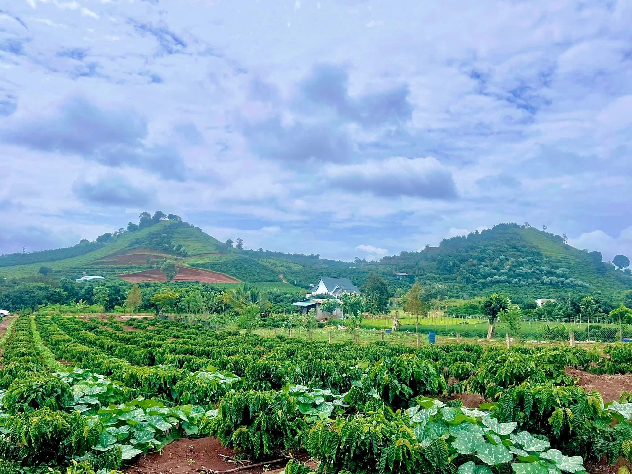 Đất 1.001m² View Thoáng Tựa Núi, Bám Trục Đường Liên Thông Tại Nam Hà (1)