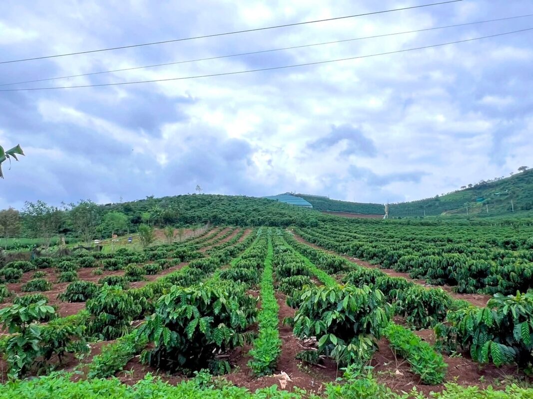 Đất Ven Đà Lạt Official