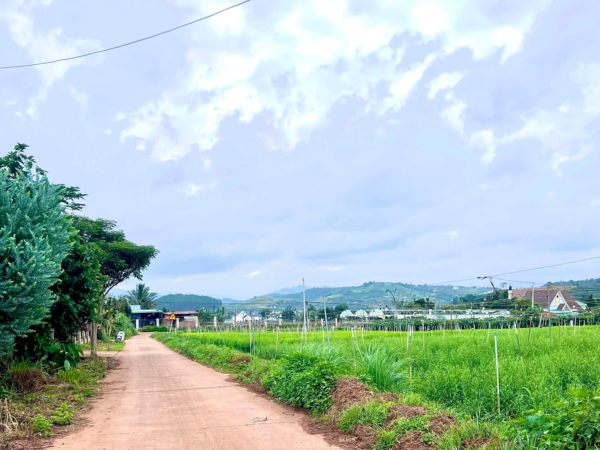 Đất 1.001m² View Thoáng Tựa Núi, Bám Trục Đường Liên Thông Tại Nam Hà (4)
