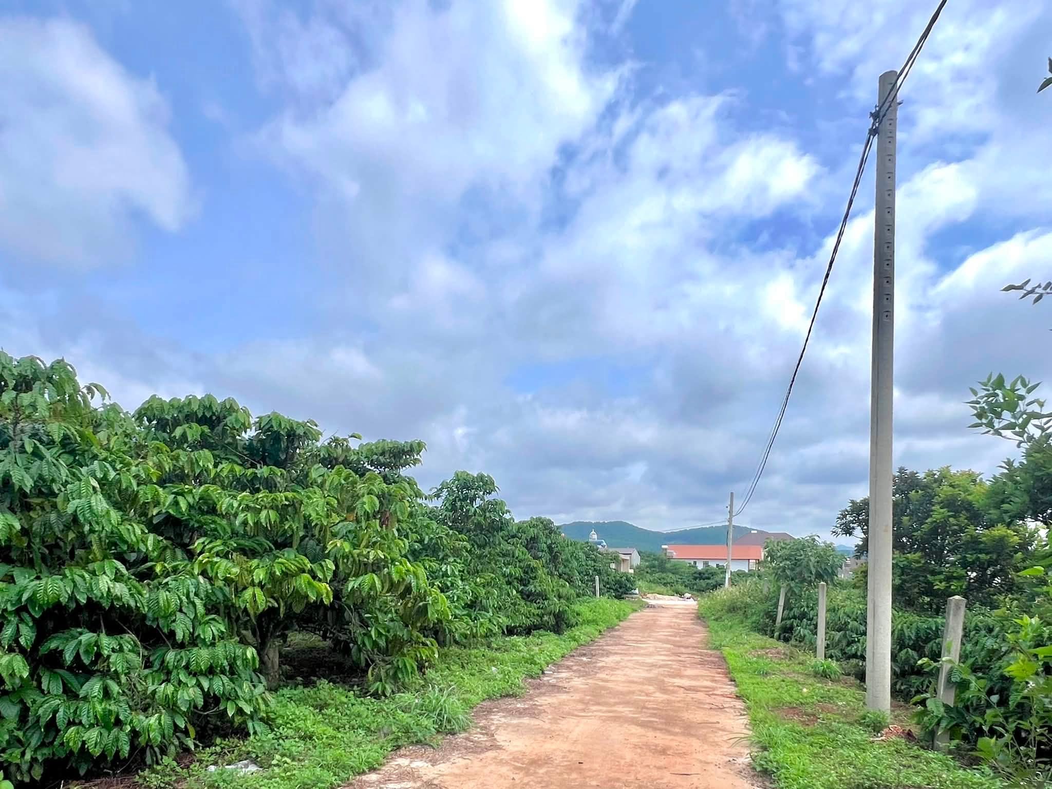 Khi Mỗi Khung Cửa Đều Mở Ra Cả Một Vùng Núi Xanh – Giá Trị Của Đất Ven Đà Lạt Không Chỉ Nằm Ở Diện Tích (2)