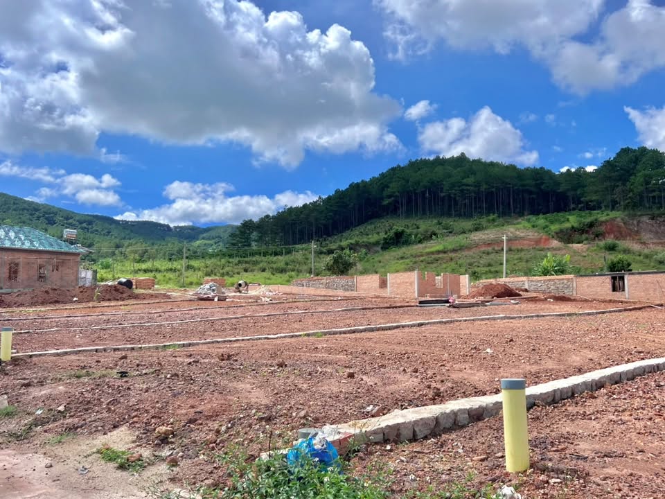 MẢNH ĐẤT GIỮA ĐỒI THÔNG XANH – SẴN SÀNG CHO MỘT NHÀ VƯỜN NGHỈ DƯỠNG VEN ĐÀ LẠT (2)