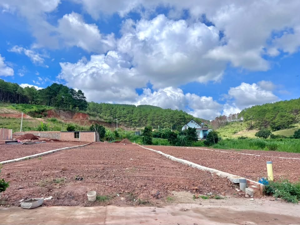 MẢNH ĐẤT GIỮA ĐỒI THÔNG XANH – SẴN SÀNG CHO MỘT NHÀ VƯỜN NGHỈ DƯỠNG VEN ĐÀ LẠT (4)