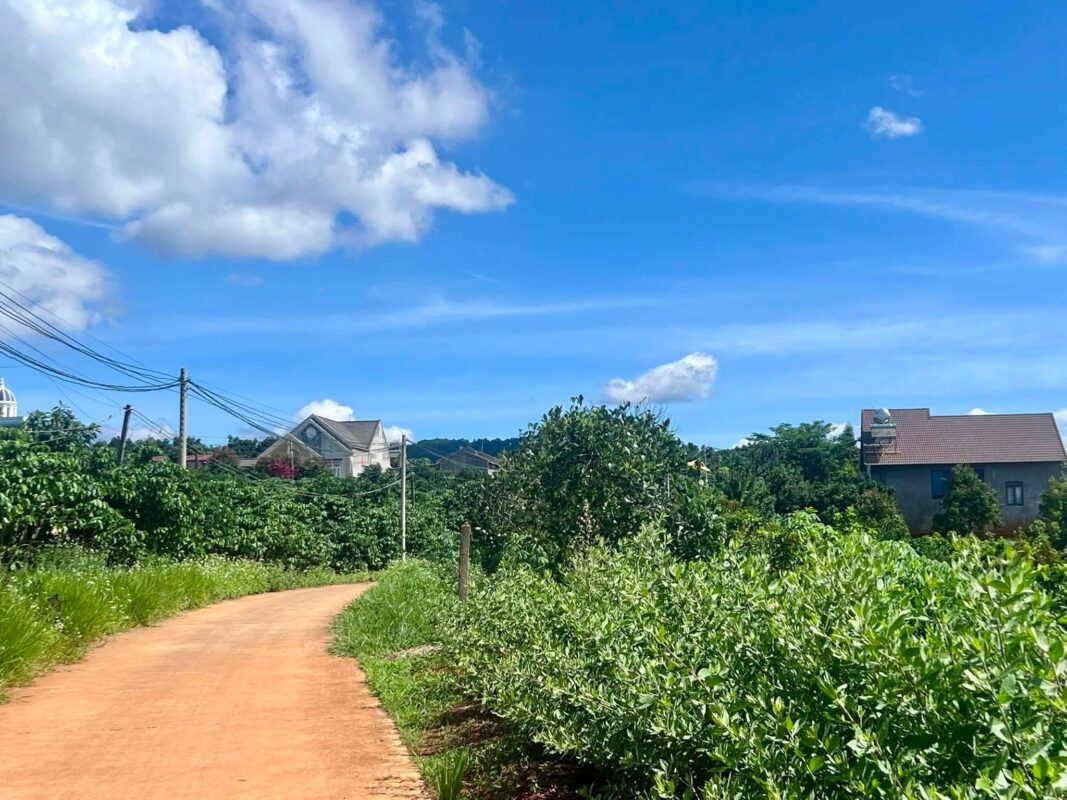 Đất Ven Đà Lạt Official