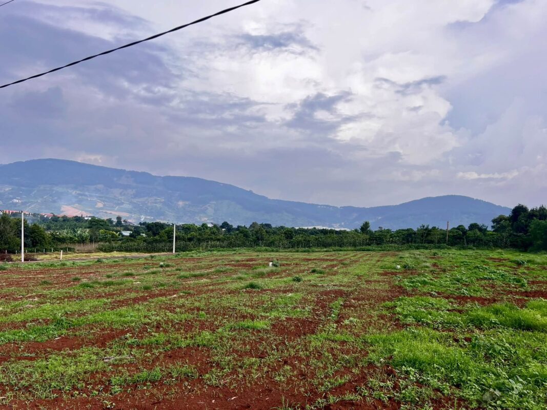 Đất Ven Đà Lạt Official
