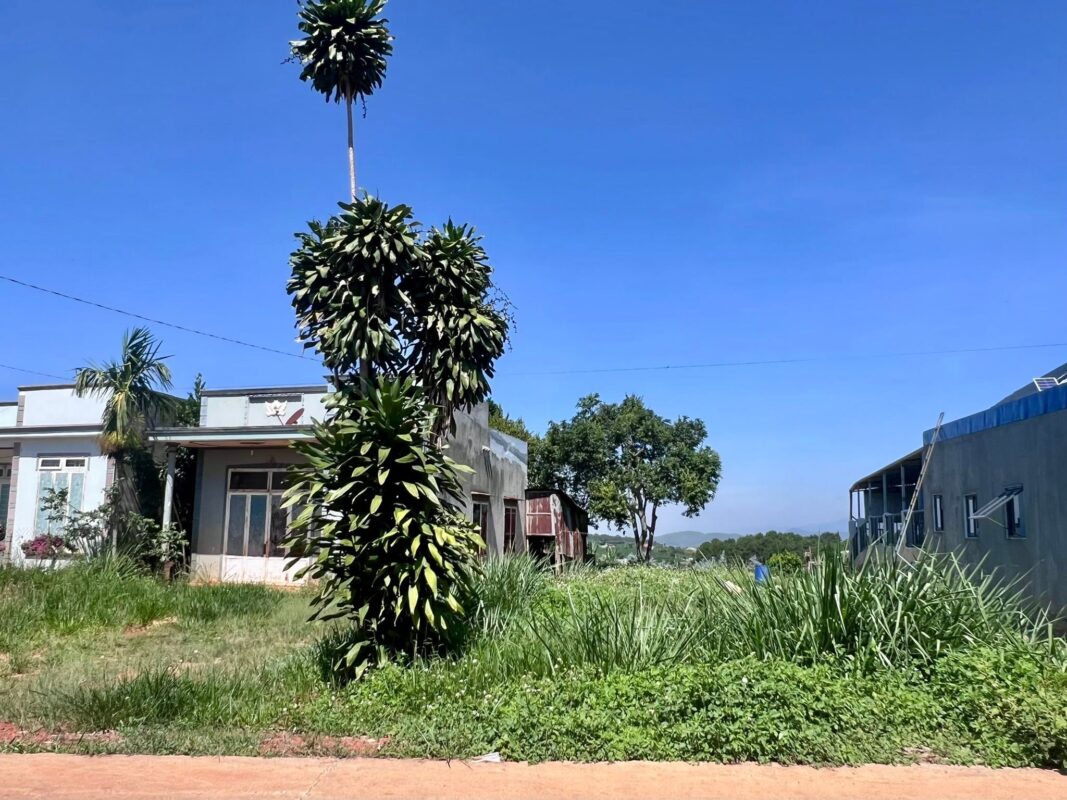 Đất Ven Đà Lạt Official