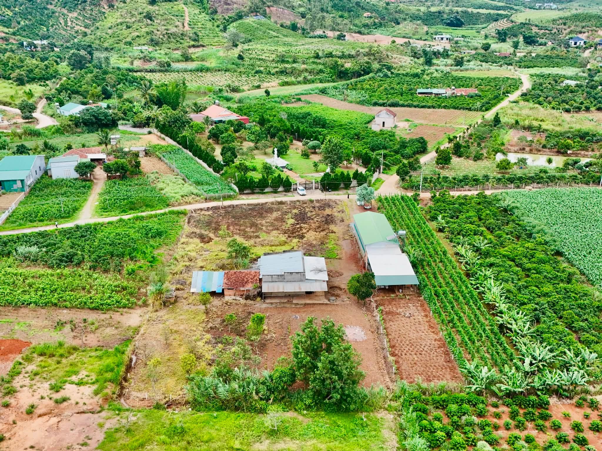 QUỸ ĐẤT VEN ĐÀ LẠT 3.276M² – MẶT TIỀN 41M, KHÔNG GIAN SỐNG RỘNG MỞ (2)