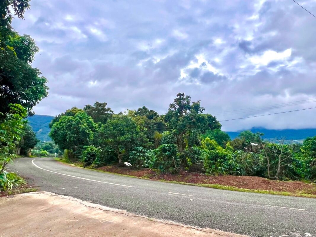 Đất Ven Đà Lạt Official
